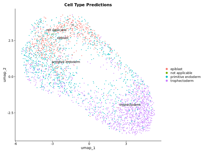 Cell Type Predictions
