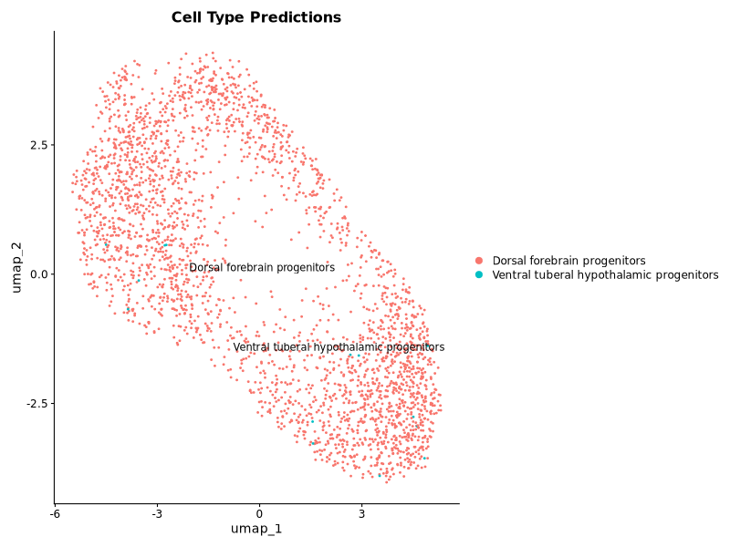 Cell Type Predictions
