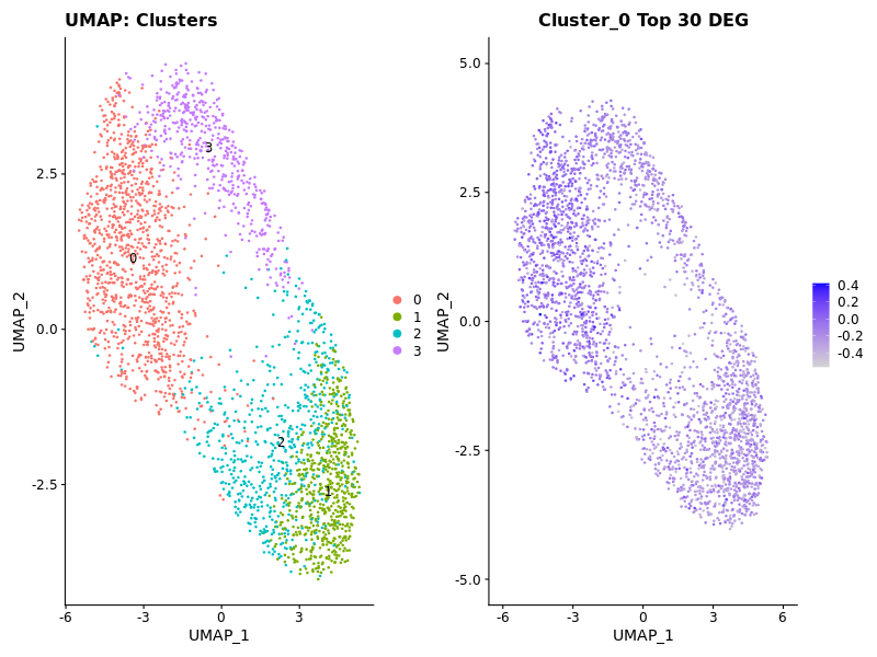 Cluster 0