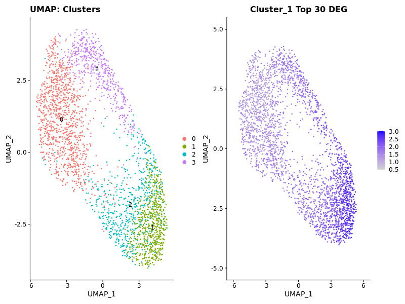 Cluster 1