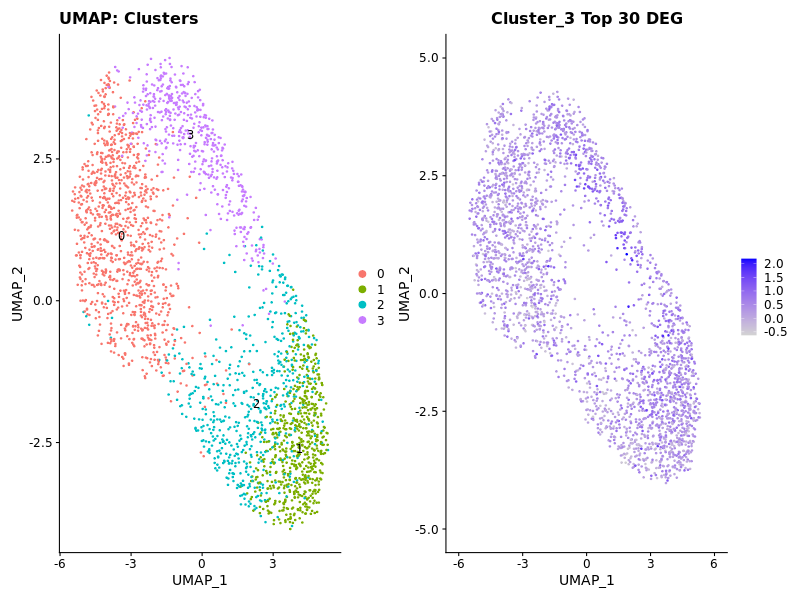 Cluster 3