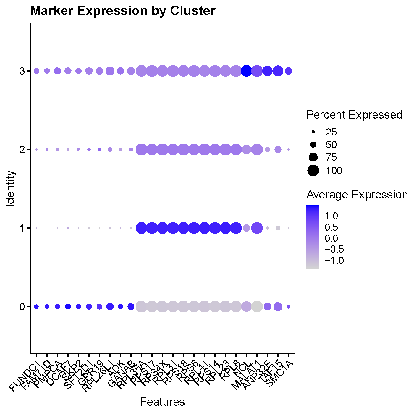 Expression of Top 10 genes by cluster