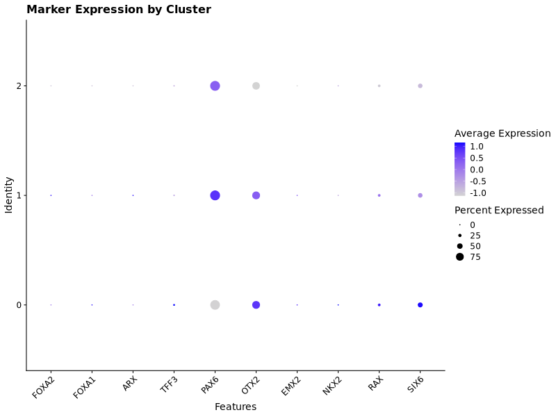 SHH genes Dotplot