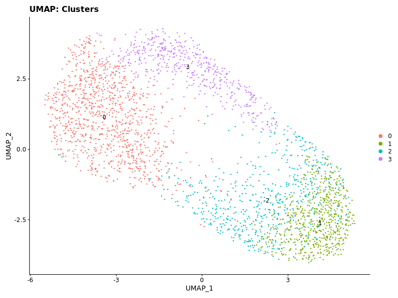 UMAP_Clusters