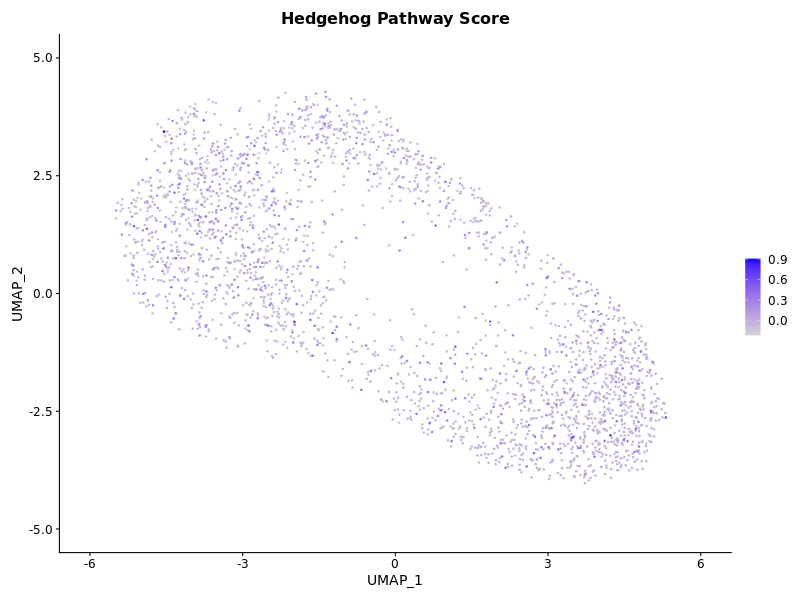 UMAP_Clusters_HedghogGeneScore