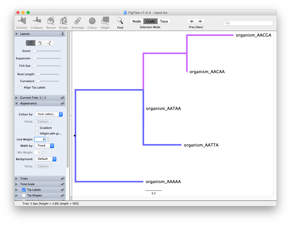 Annotated Tree